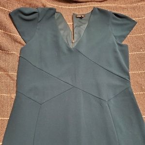 Express Slim-Fitting Professional Dress